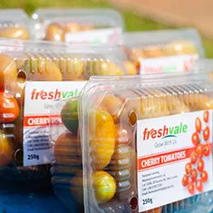 Fresh produce from Freshvale and Mimosa Farms